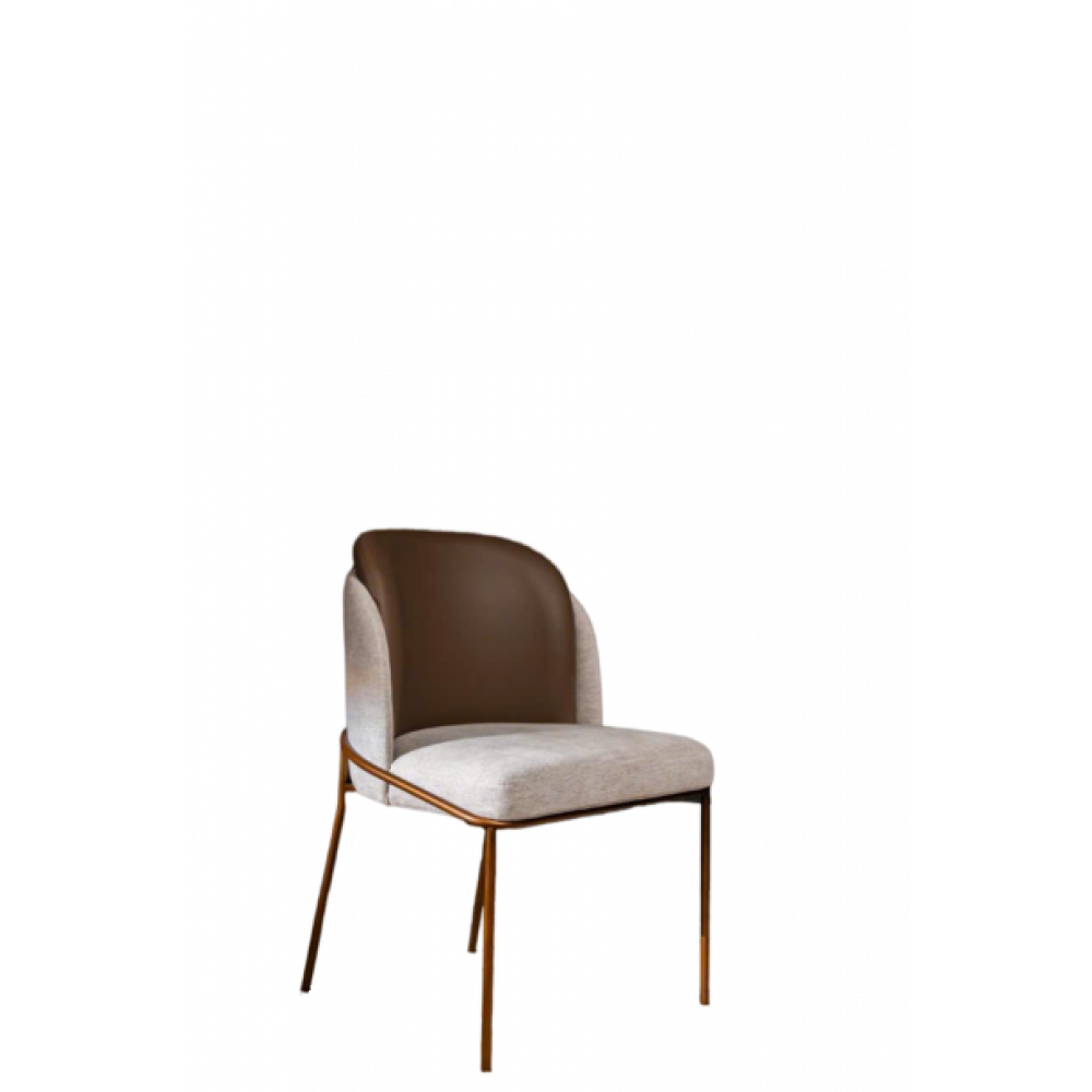 Dining Chair 20