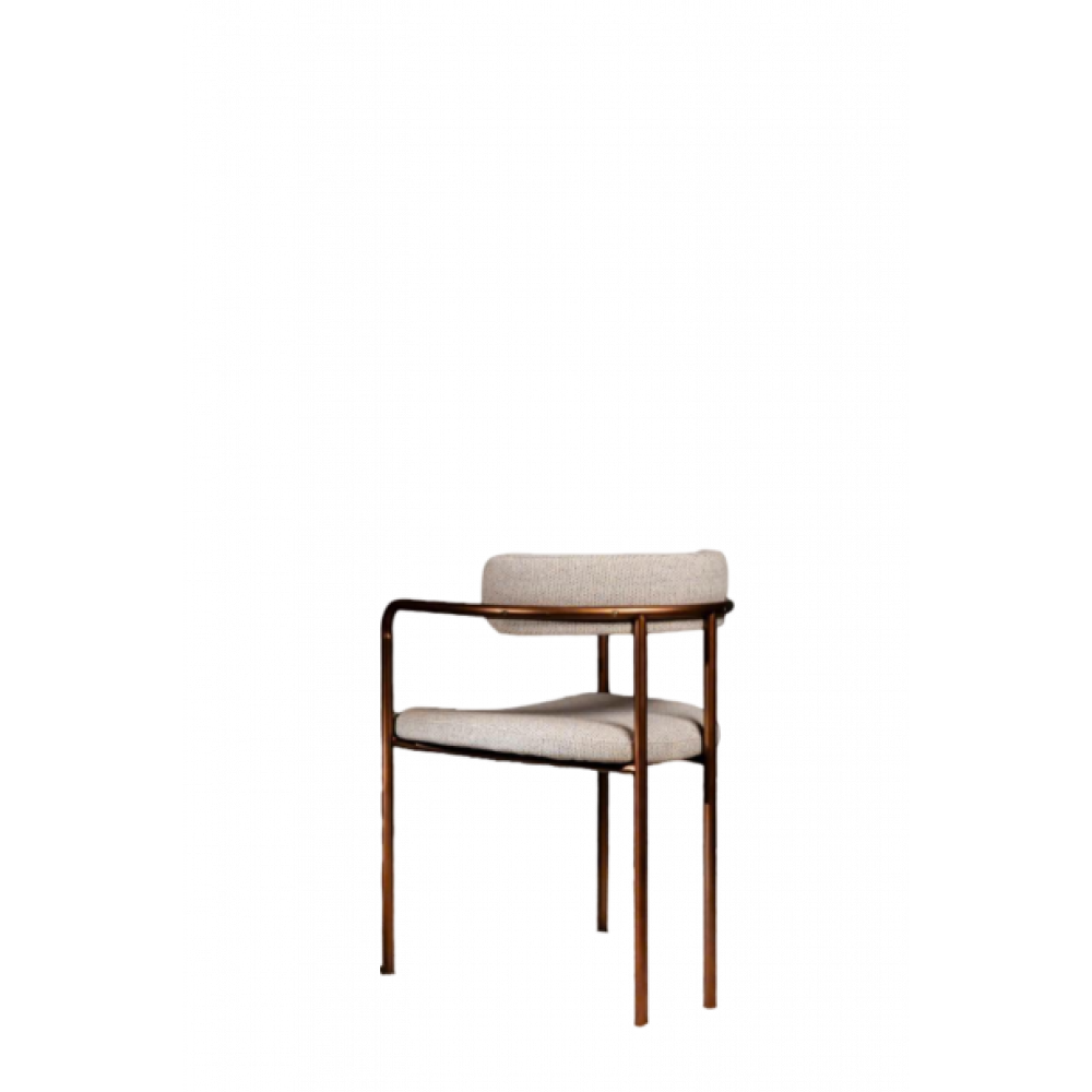 Dining Chair 16