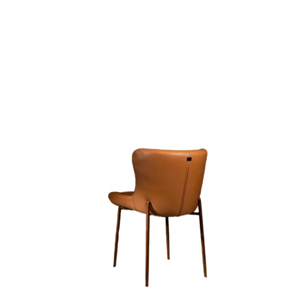 Dining Chair 19