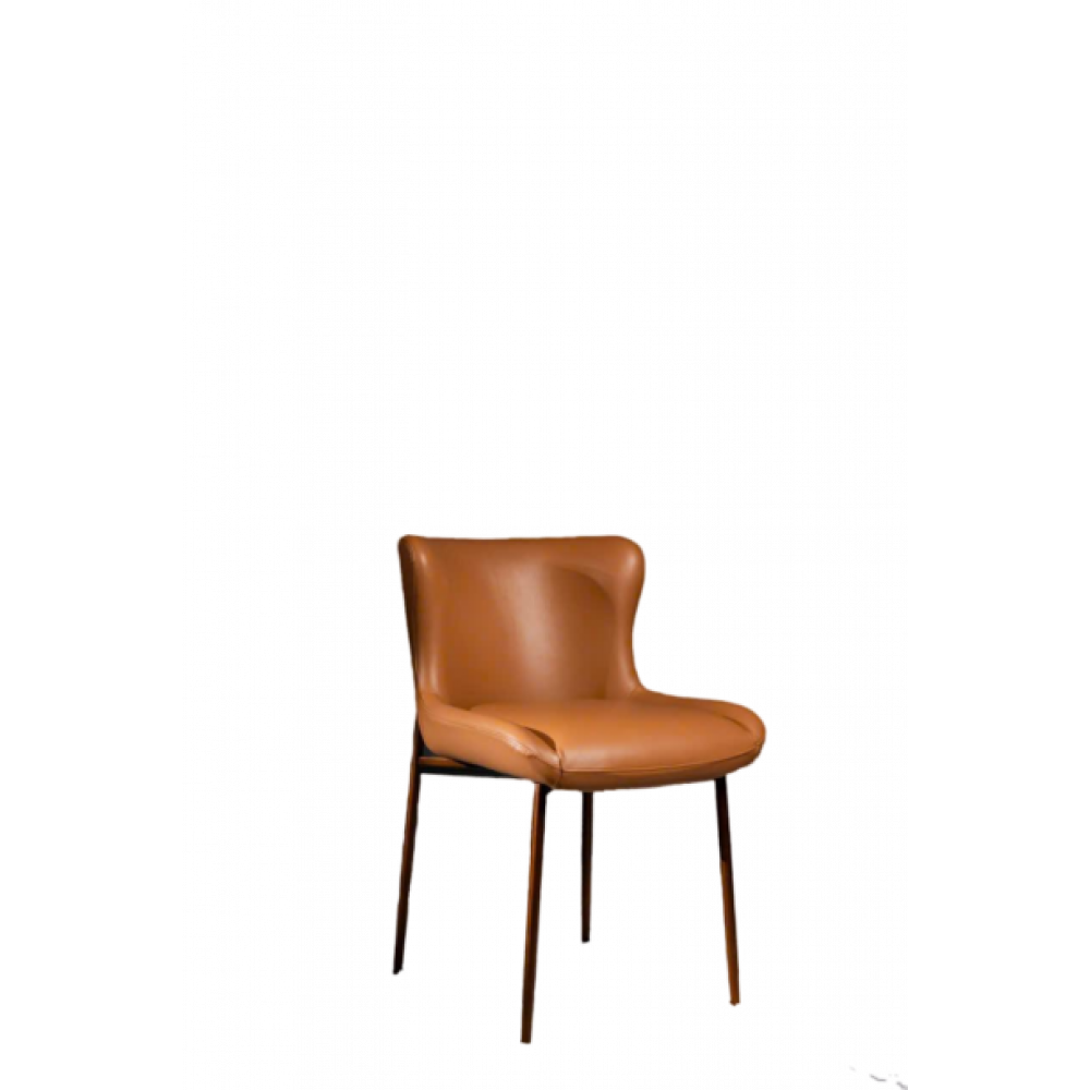 Dining Chair 19