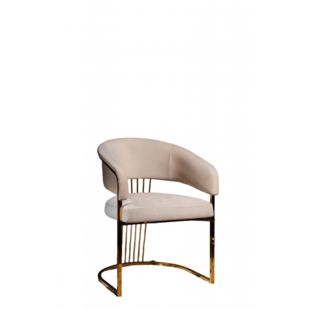 Dining Chair 17